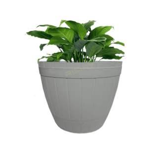 1 pcs Pot